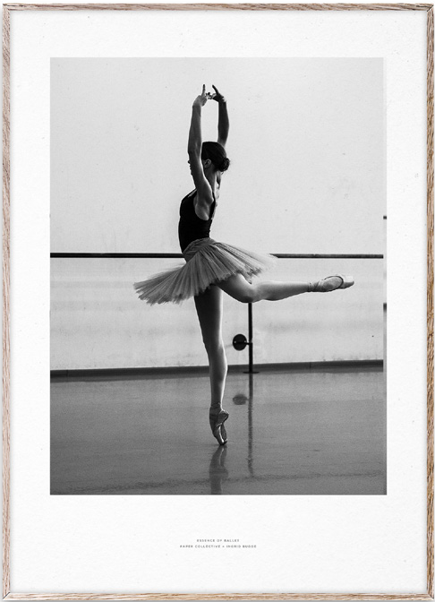 Essence of Ballet 04