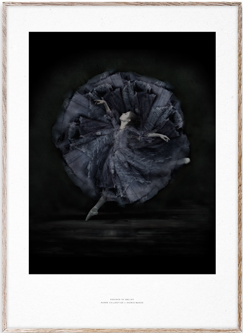 Essence of Ballet 06