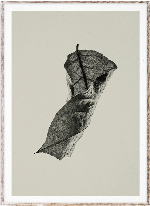 Sabi Leaf 04